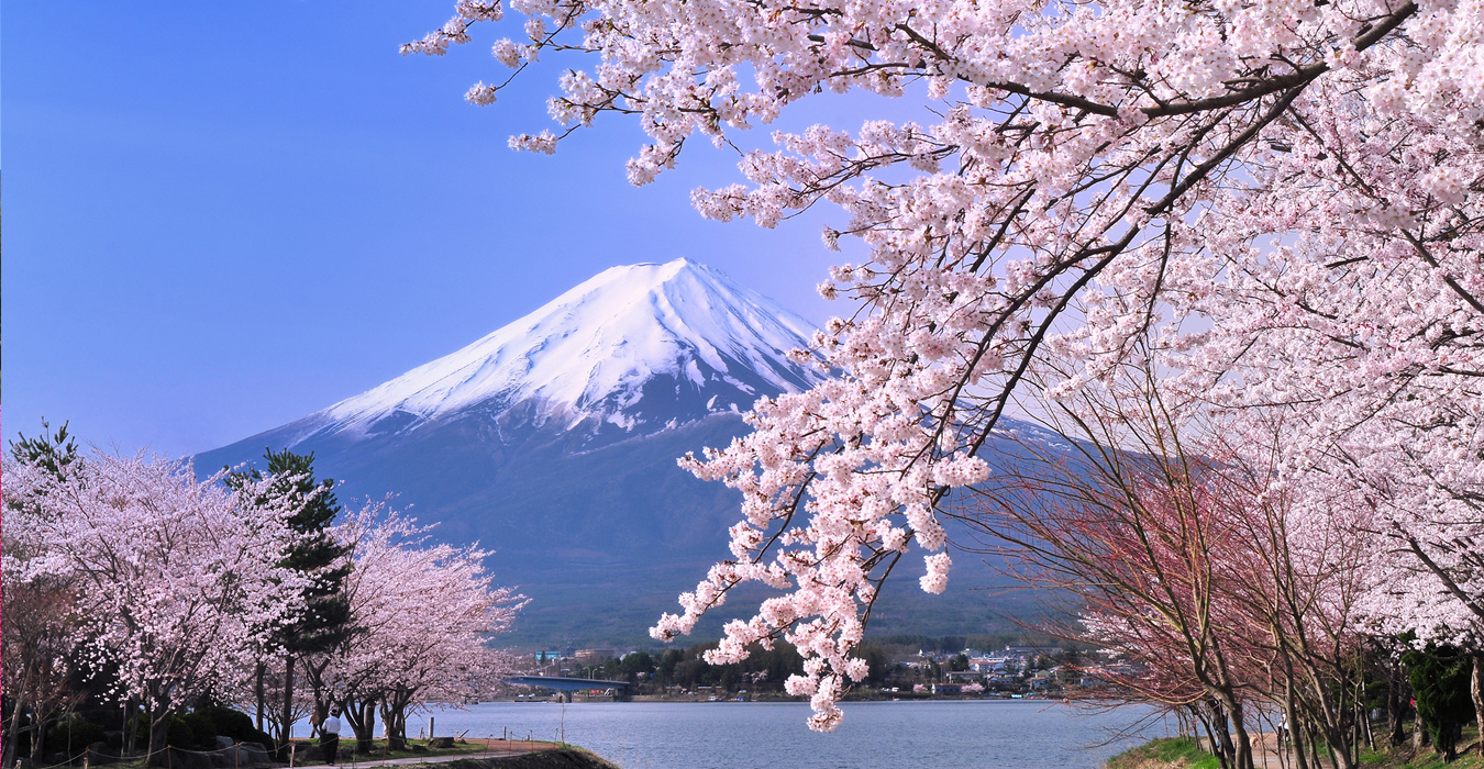 NAGOYA - KYOTO - OSAKA - PHÚ SỸ - TOKYO 6N5D