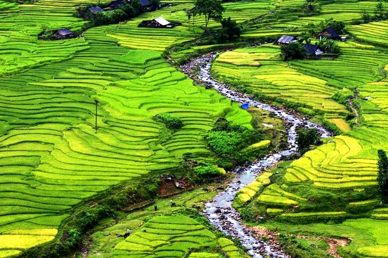 HÀ NỘI - SƠN LA- LAI CHÂU - ĐIỆN BIÊN - YÊN BÁI 6N5D